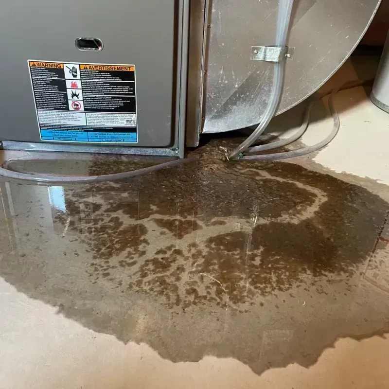 Appliance Leak Cleanup in Oak Grove, OR